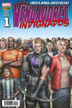 Vengadores Indignados