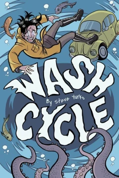 Wash Cycle