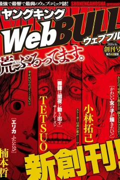 Web Bull