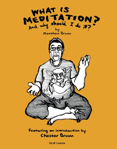 What Is Meditation?: And Why Should I Do It? (2018) - Series 