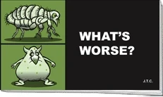 What's Worse (2014) - Series 