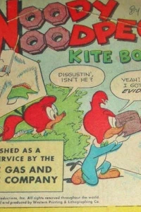 Woody Woodpecker Kite Fun Book 