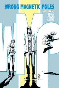 Wrong Magnetic Poles