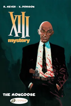 XIII Mystery