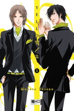 Yellow / R