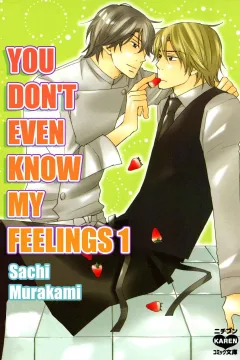 You Don't Even Know My Feelings
