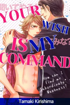 Your Wish Is My Command