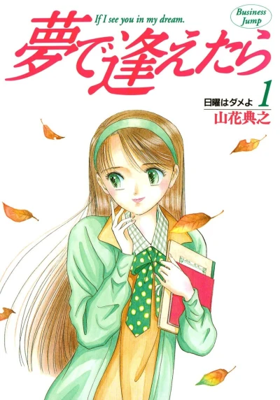 Yume de Aetara (1994) - Series 