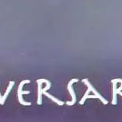 Cover art for Adversaries
