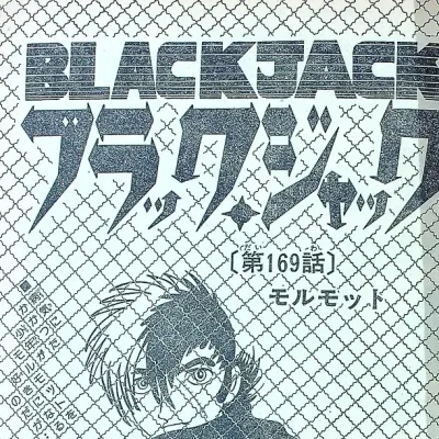 Cover art for "Black Jack" Marmot
