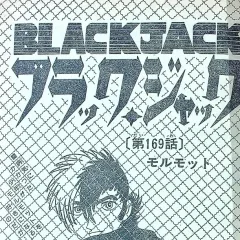"Black Jack" Marmot