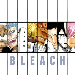"Bleach" Arrancar Saga