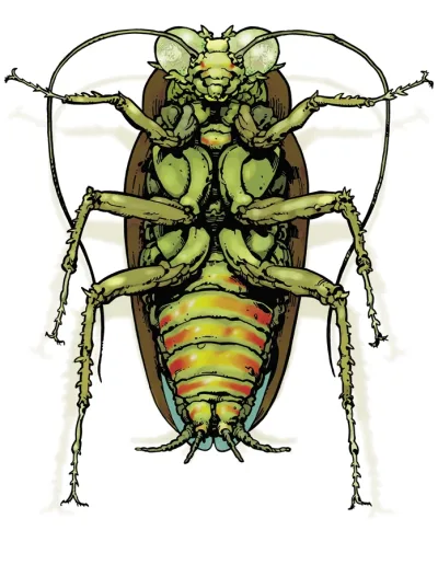 Background for Bug Brothers