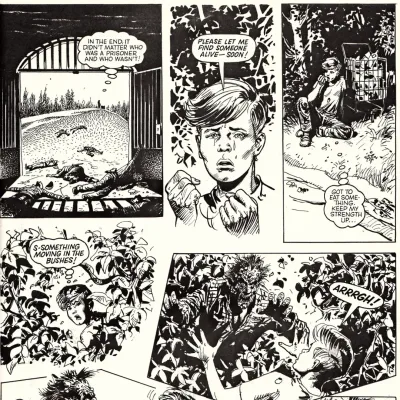 Cover art for "Eagle" Survival