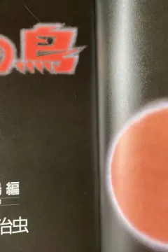 "Hi no Tori" Taiyō-Hen