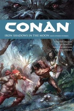 Iron Shadows in the Moon