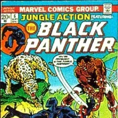 Cover from Best Black Panther Story Arcs