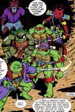 "Teenage Mutant Ninja Turtles Adventures" Terracide