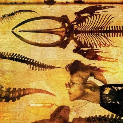 Cover art for "The Dreaming" Trinket