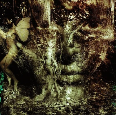 Background for The Lost Boy