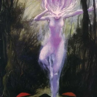 Cover art for The Mind Fields
