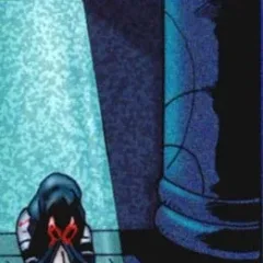 The Shadow Witch