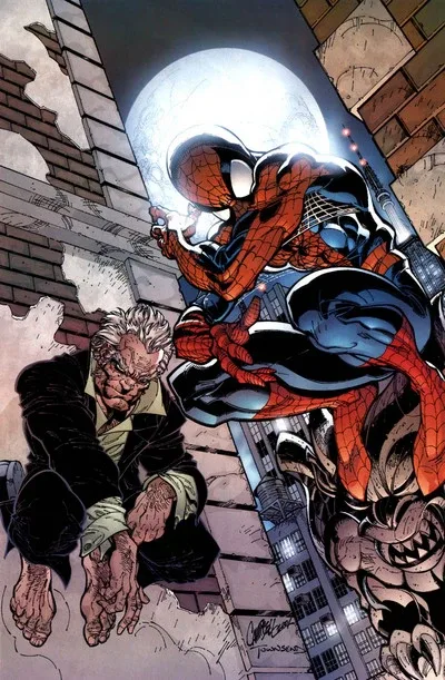 Background for The Spider Totem