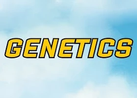 Background for "Think Tank" Genetics