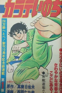 "Weekly Shonen Jump" Karate Inochi