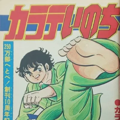 Cover art for "Weekly Shonen Jump" Karate Inochi
