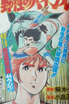 "Weekly Shonen Jump" Yasei no Bible