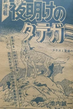 "Weekly Shonen Jump" Yoake no Tategami