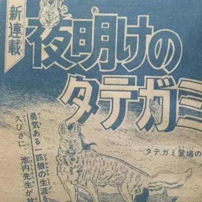Cover art for "Weekly Shonen Jump" Yoake no Tategami