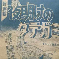 "Weekly Shonen Jump" Yoake no Tategami