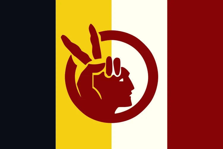 Background for American Indian Movement