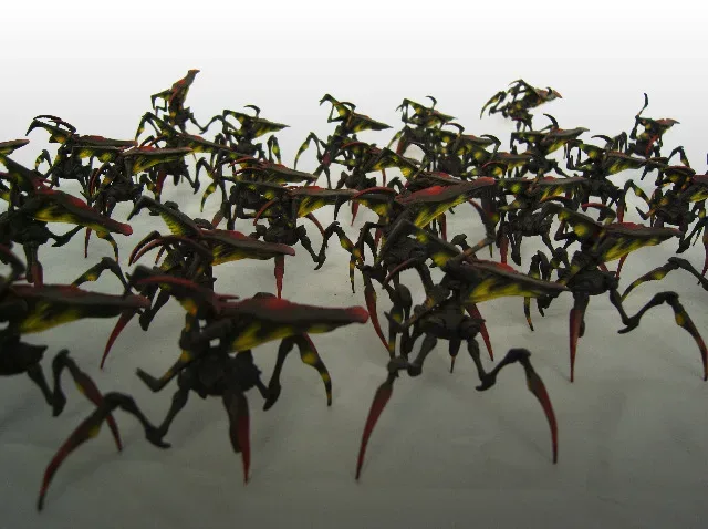 Background for Arachnids