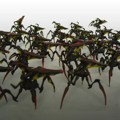 Arachnids