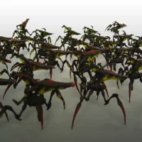 Arachnids