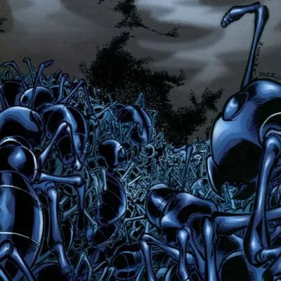 Army Ants