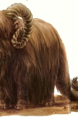 Background for Banthas