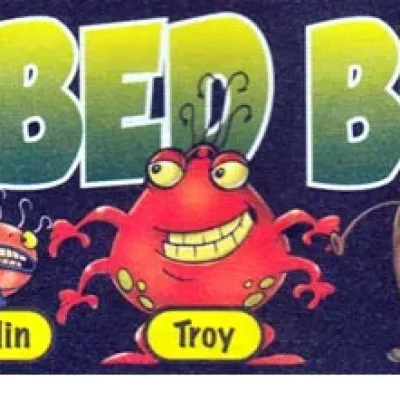 Bed Bugs