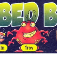 Bed Bugs