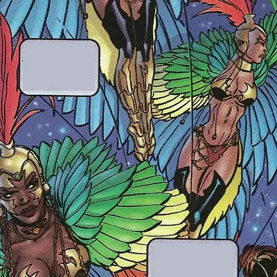 Birds of Paradise