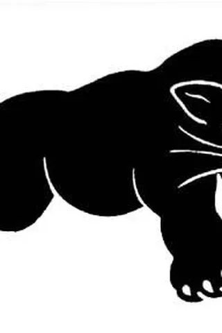Background for Black Panther Party for Self-Defense