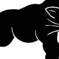 Black Panther Party for Self-Defense
