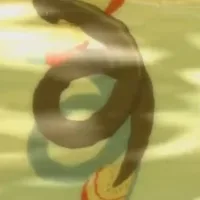 Butterfly Eel
