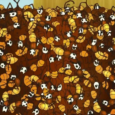 Café Ants