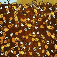 Café Ants