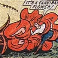 Cannibal Flowers