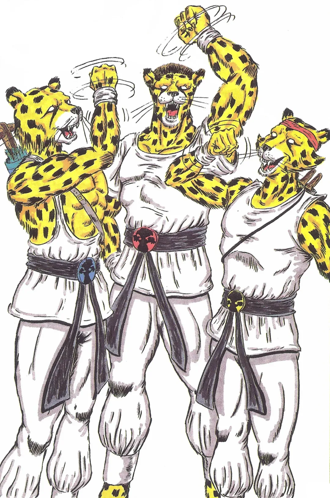 Background for Cheetahmen